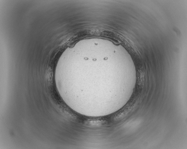 X0000115630228200912011447