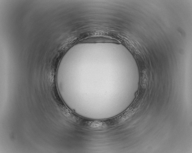 X0000115630230200912011447