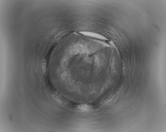 X0000115630231200912011447