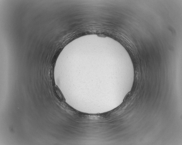 X0000115630233200912011447