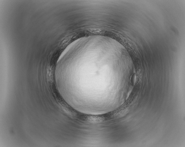 X0000115630234200912011447