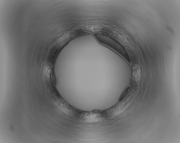 X0000115630235200912011447