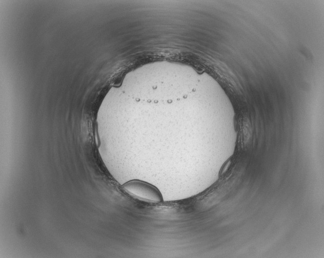 X0000115630236200912011447