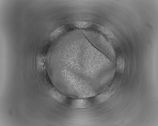 X0000115630237200912011447