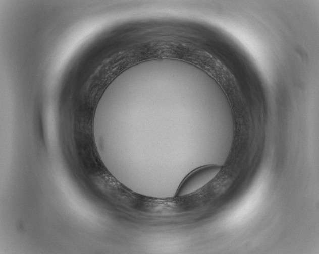 X0000115630239200912011447