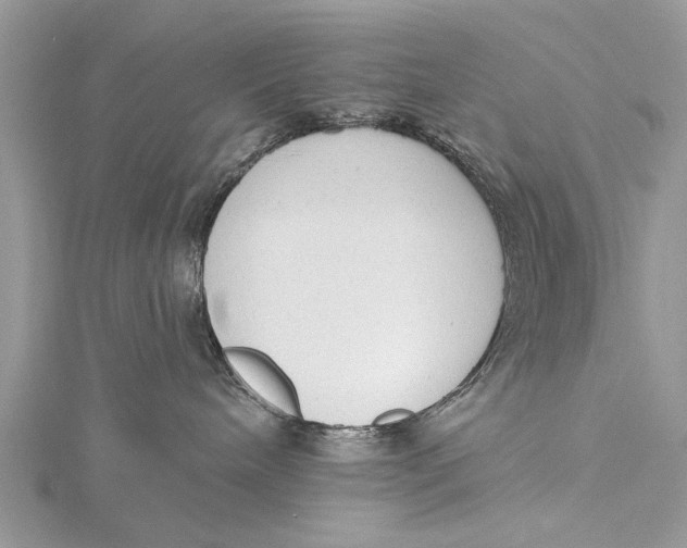 X0000115630240200912011447