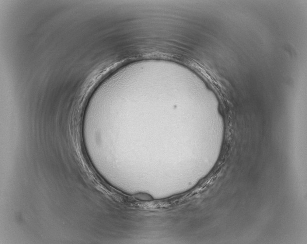 X0000115630241200912011446