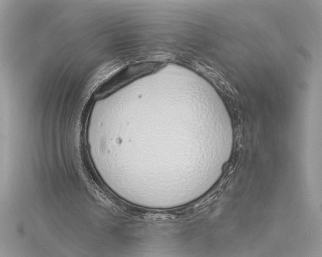 X0000115630242200912011446