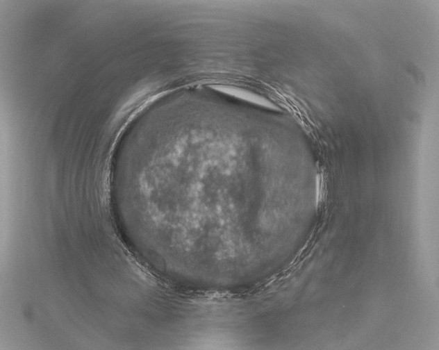 X0000115630243200912011446