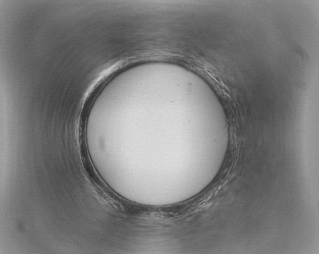 X0000115630244200912011446