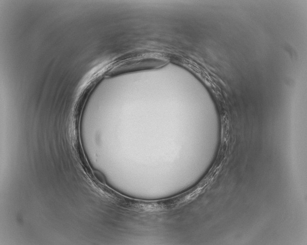 X0000115630245200912011446