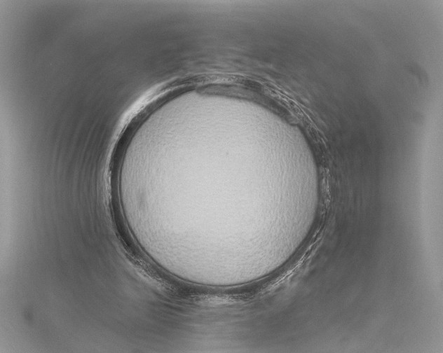 X0000115630246200912011446