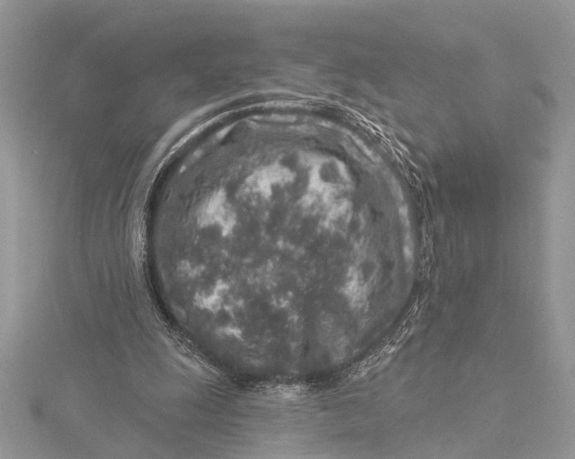 X0000115630247200912011446