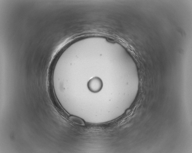 X0000115630248200912011446