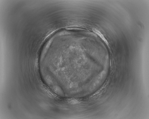 X0000115630249200912011446