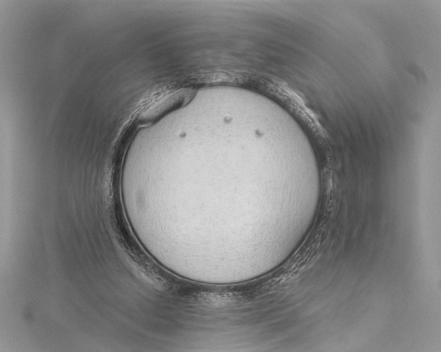 X0000115630250200912011446