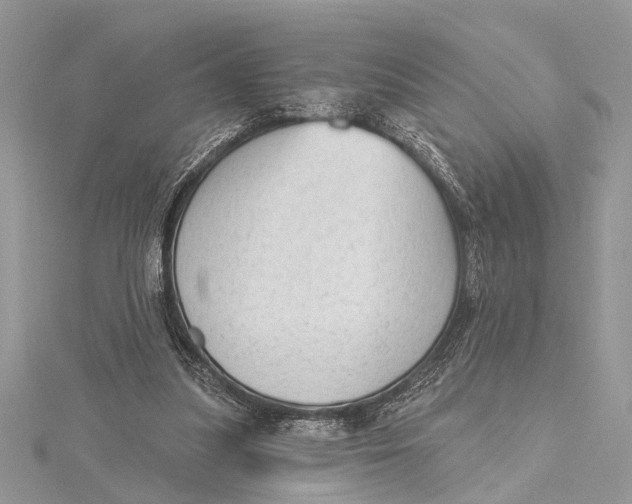 X0000115630251200912011446