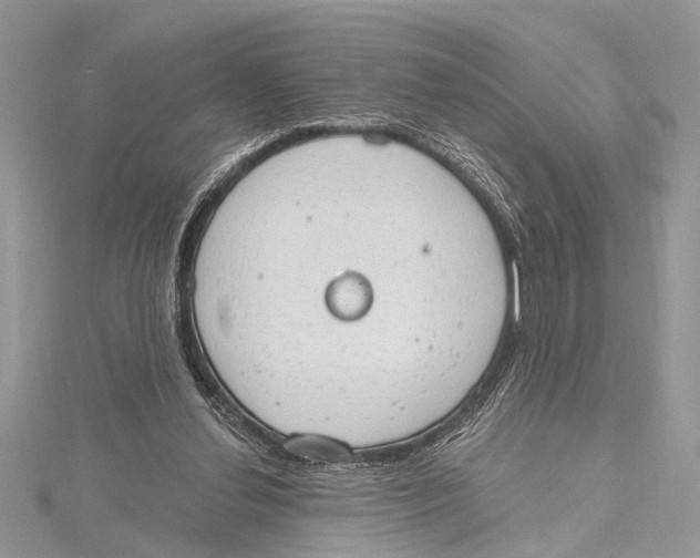 X0000115630252200912011446