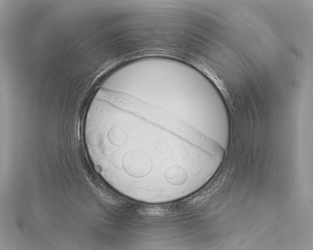 X0000115630253200912011447