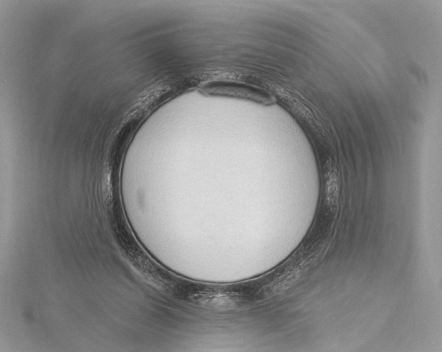 X0000115630254200912011447