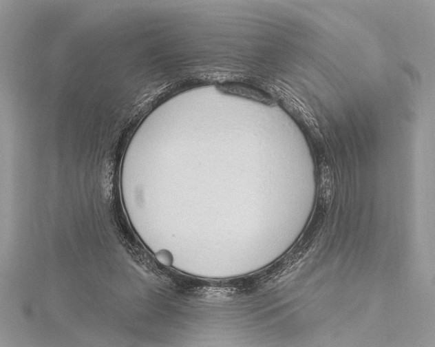 X0000115630255200912011447