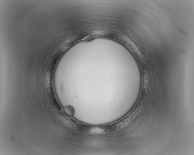 X0000115630257200912011447