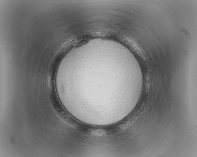 X0000115630258200912011447