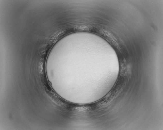 X0000115630259200912011447