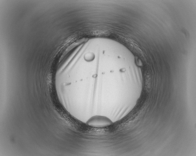 X0000115630260200912011447