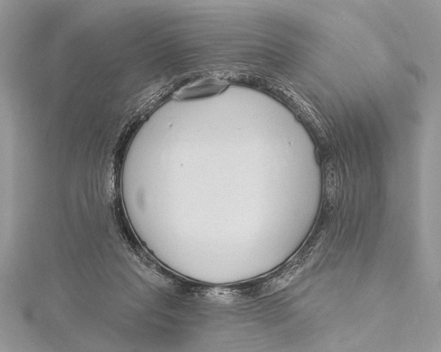 X0000115630261200912011447