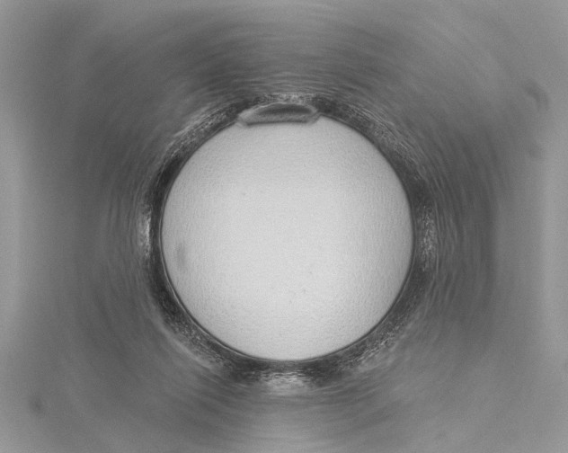 X0000115630262200912011447