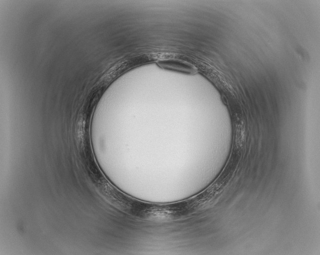 X0000115630263200912011447