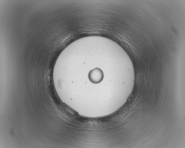 X0000115630264200912011447