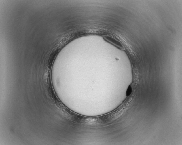 X0000115630265200912011447