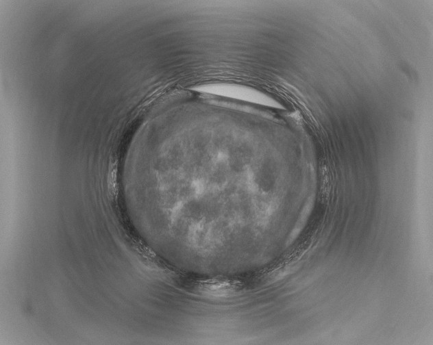 X0000115630267200912011447