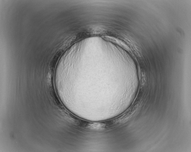 X0000115630269200912011447