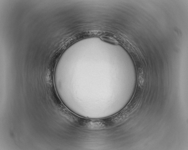 X0000115630270200912011447