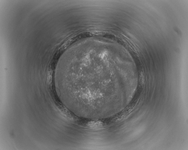 X0000115630271200912011447