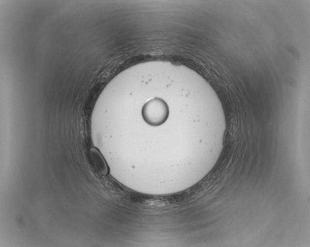 X0000115630272200912011447