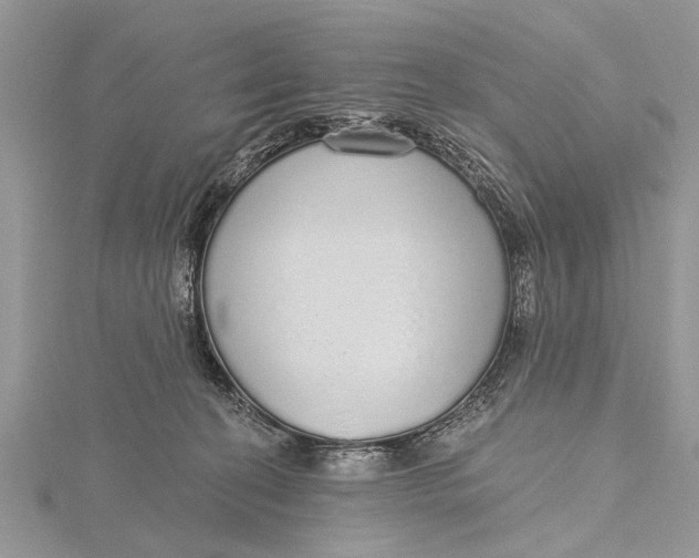 X0000115630274200912011447