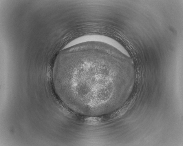 X0000115630277200912011447