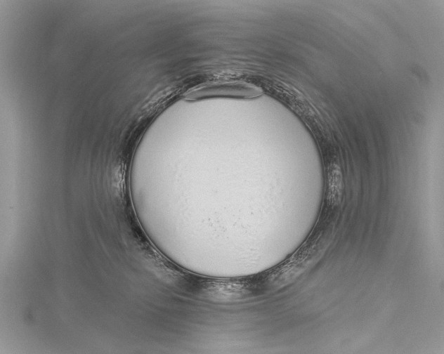 X0000115630278200912011447