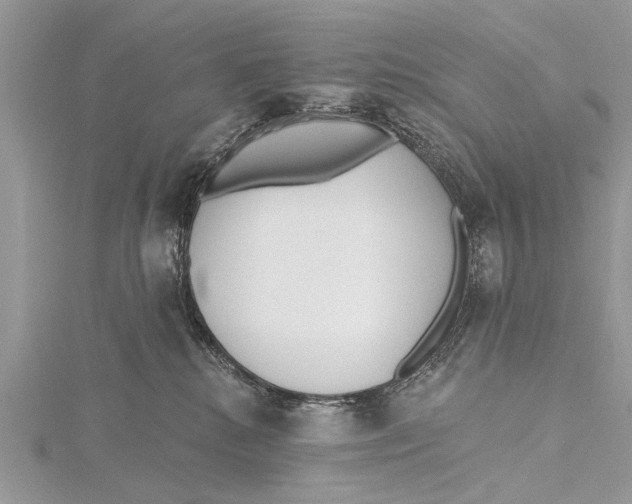 X0000115630280200912011447