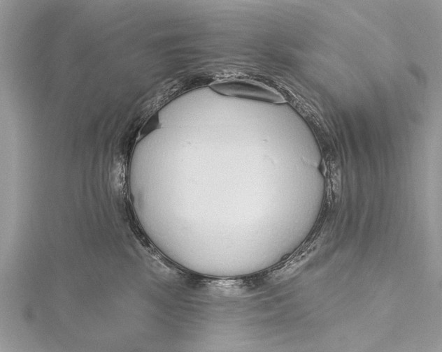 X0000115630281200912011447