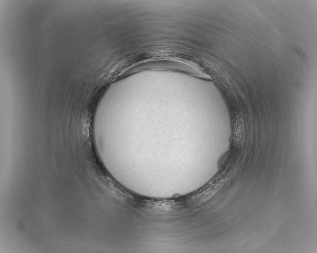 X0000115630282200912011447