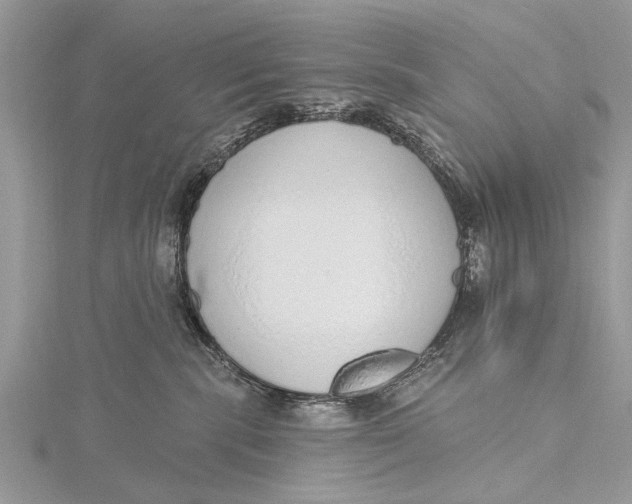 X0000115630283200912011447