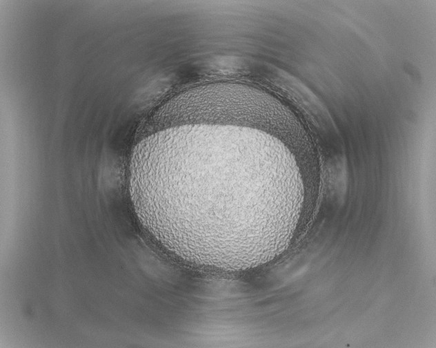 X0000115630284200912011447