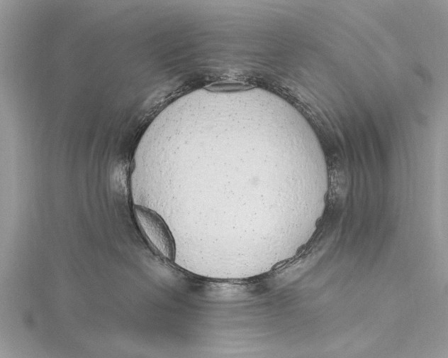 X0000115630286200912011447