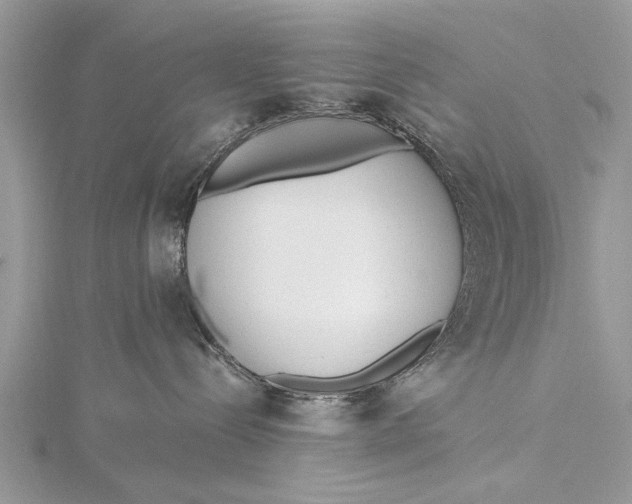 X0000115630288200912011447