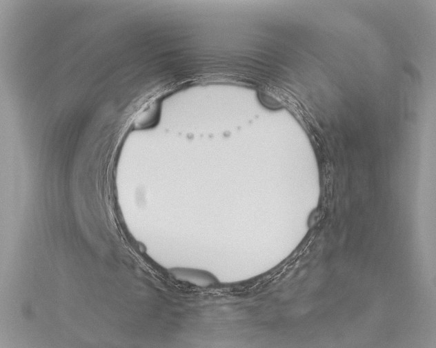 X0000115630289200912011446